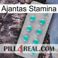 Ajantas Stamina 28